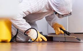 Best Pest Prevention Services  in Diamond Bar, CA